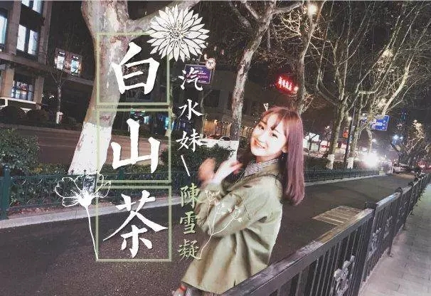 白山茶钢琴谱 阿泱-世上再无白山茶，但花总有重开之日3
