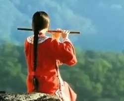 绿野仙踪钢琴谱 陈悦 马克-何必丝与竹，山水有清音
