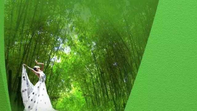 月光下的凤尾竹简谱 傣族民歌节奏舒缓，优美动听7