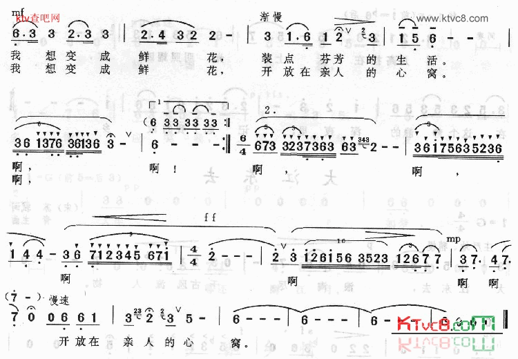 彩云与鲜花简谱1