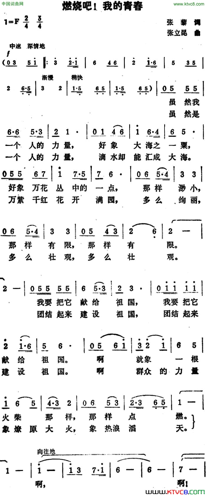 燃烧吧！我的青春简谱1