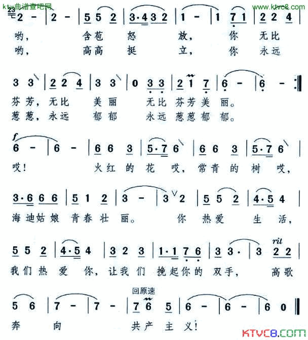 火红的花，常青的树简谱1