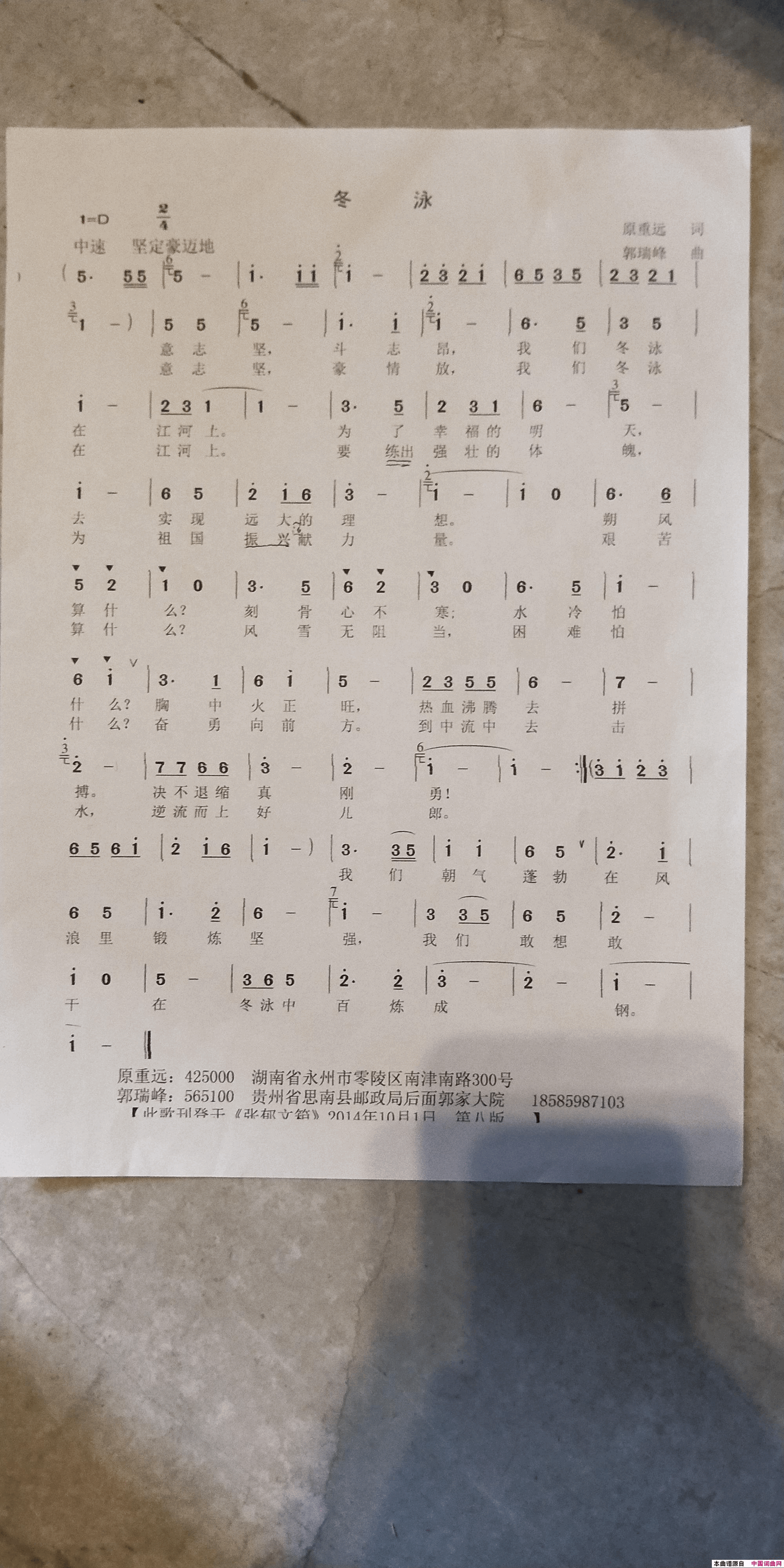 冬泳简谱1