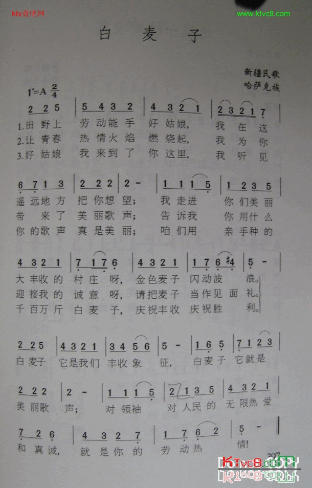 白麦子新疆民歌简谱1