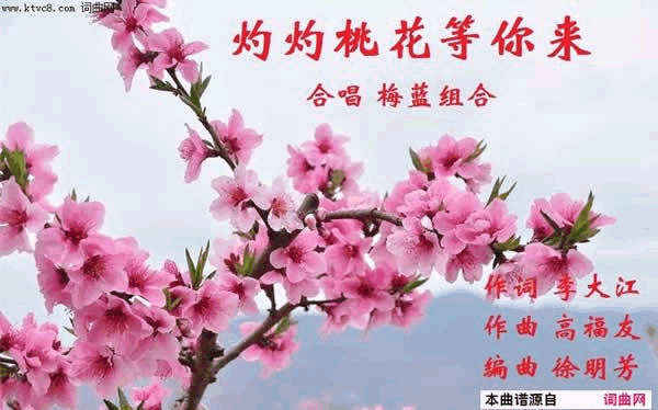 灼灼桃花等你来梅蓝组合合唱简谱-梅蓝组合演唱-李大江/高福友词曲1