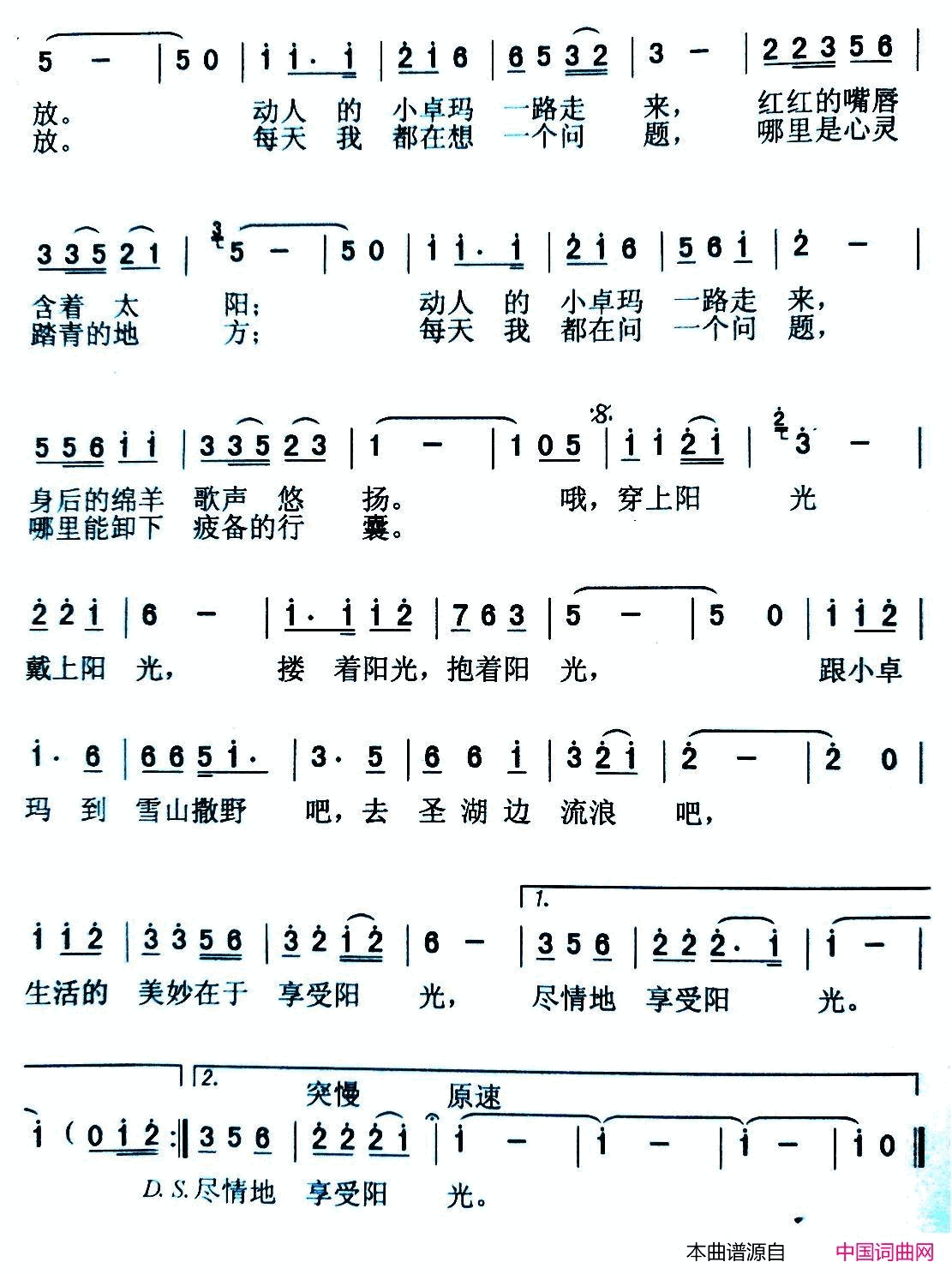 享受阳光简谱1
