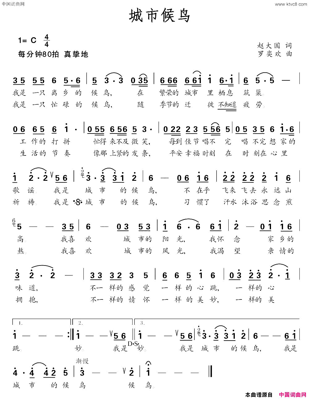 城市候鸟简谱1