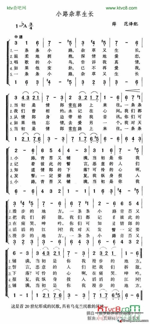 小路杂草生长简谱1