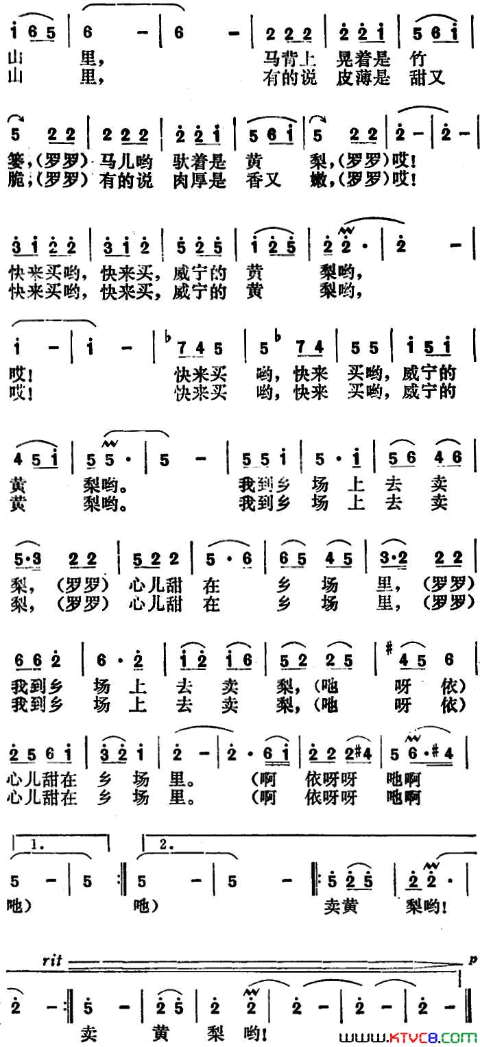 卖黄梨简谱1