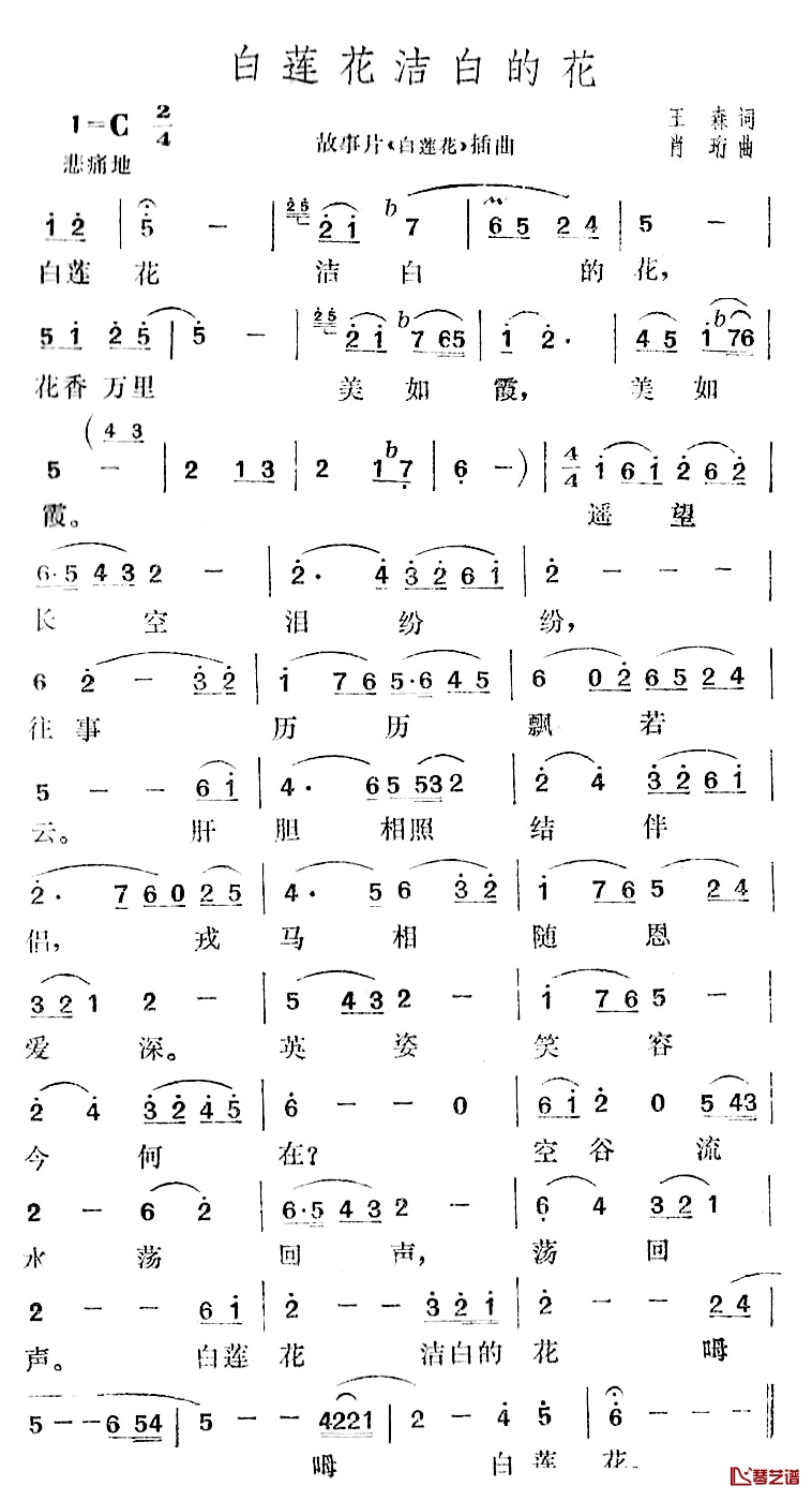白莲花洁白的花简谱-电影《白莲花》插曲1
