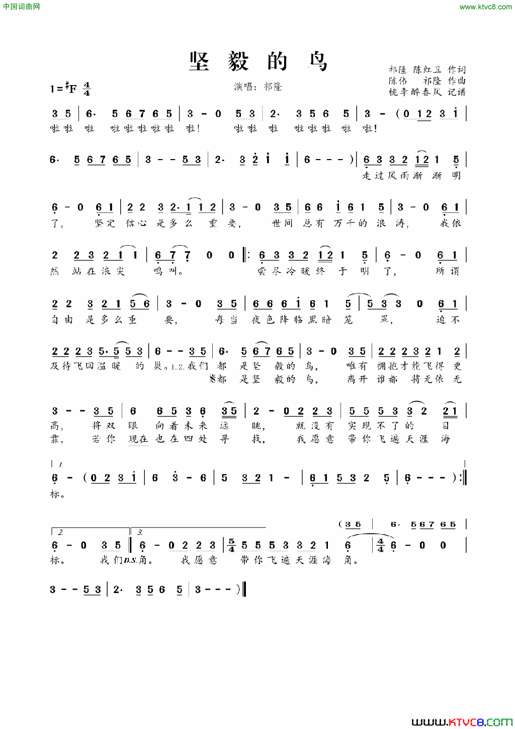 坚毅的鸟简谱1