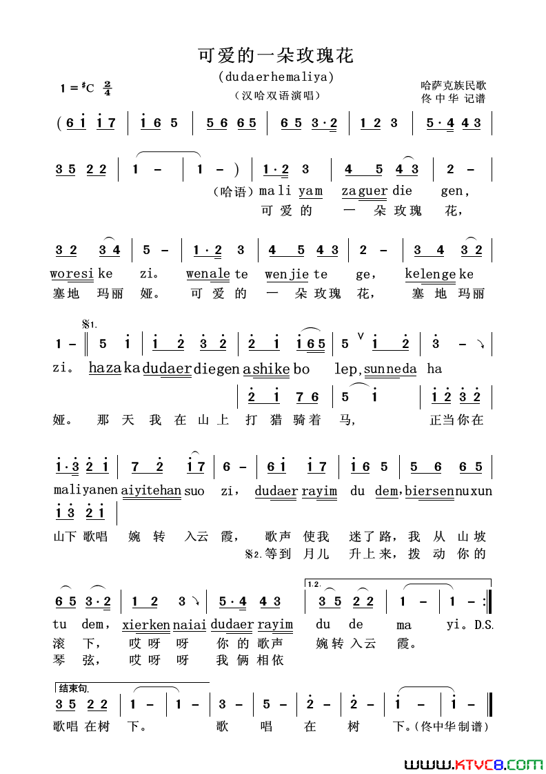 可爱的一朵玫瑰花汉哈双语演唱简谱1