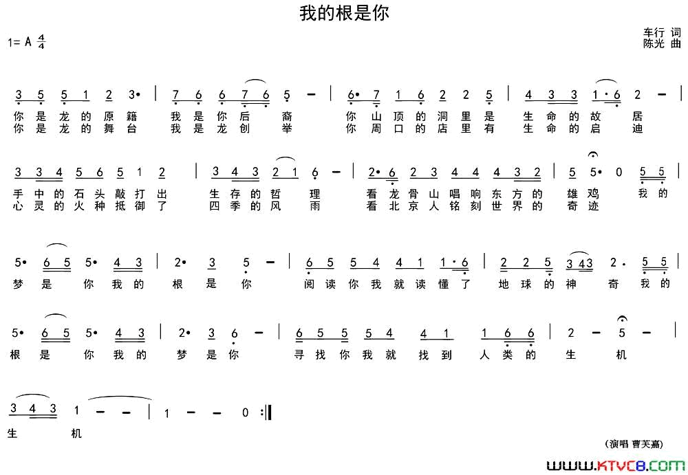 我的根是你简谱1