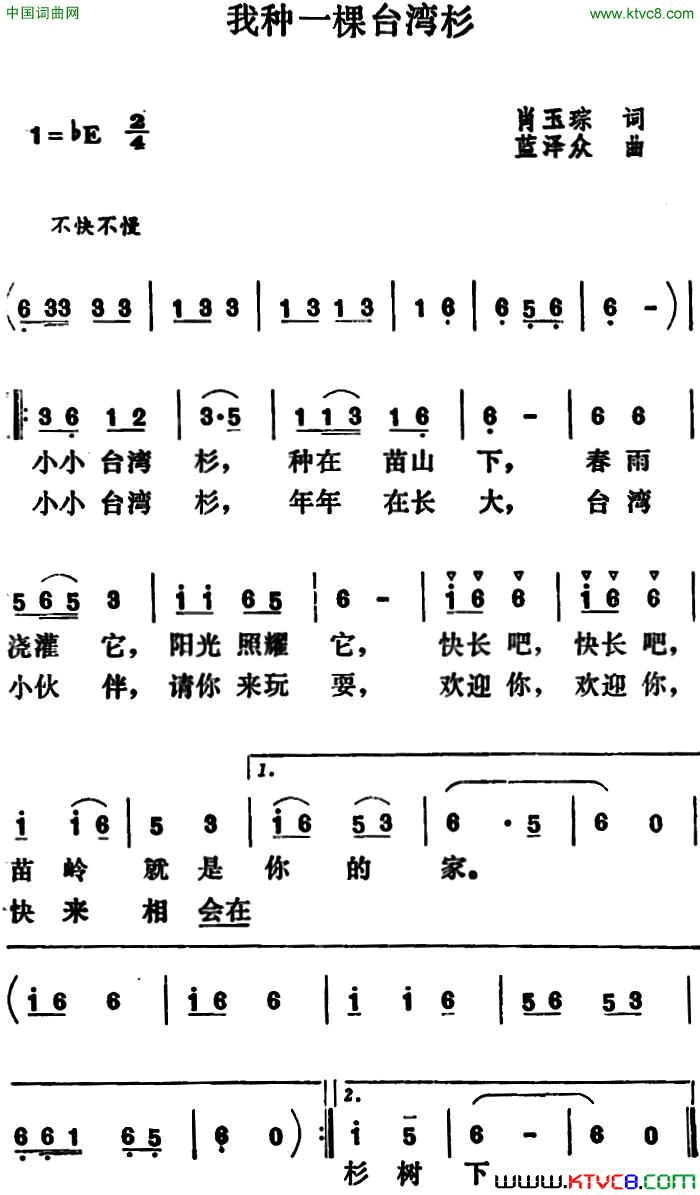 我种一棵台湾杉简谱1