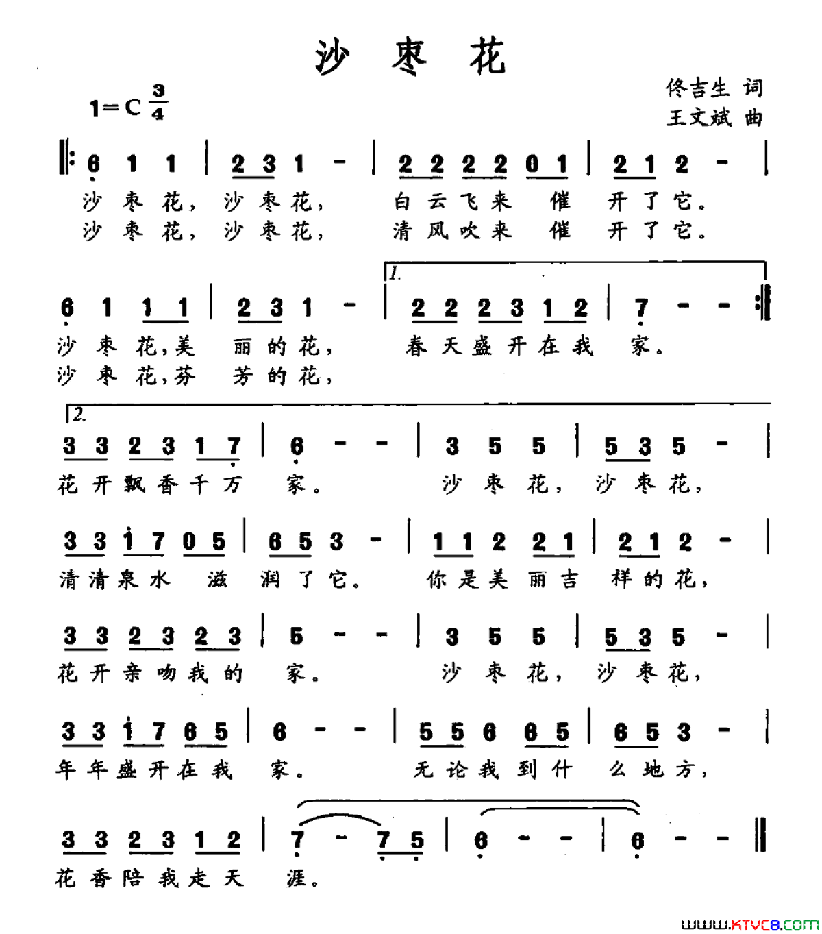 沙枣简谱1
