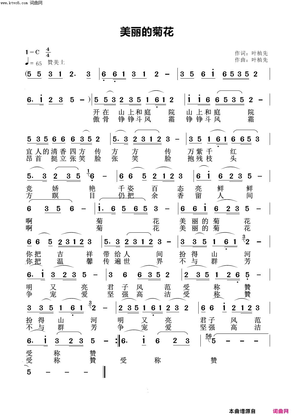 美丽的菊花简谱1