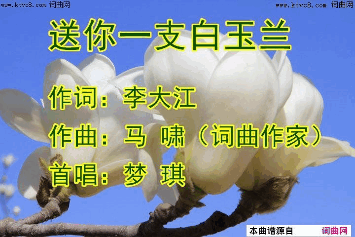 送你一支白玉兰梦琪唱、马啸曲简谱-梦琪演唱-李大江/马啸词曲1