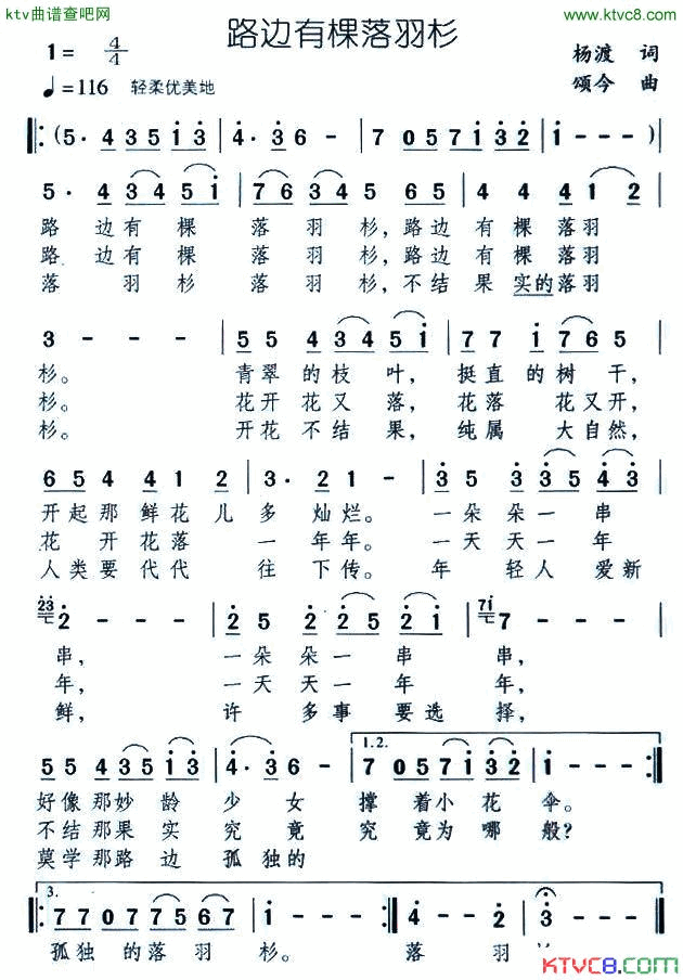 路边有棵落羽杉简谱1