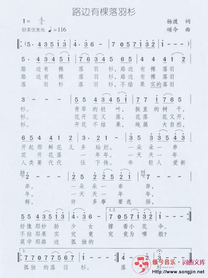路边有棵落羽杉简谱-颂今音乐演唱1