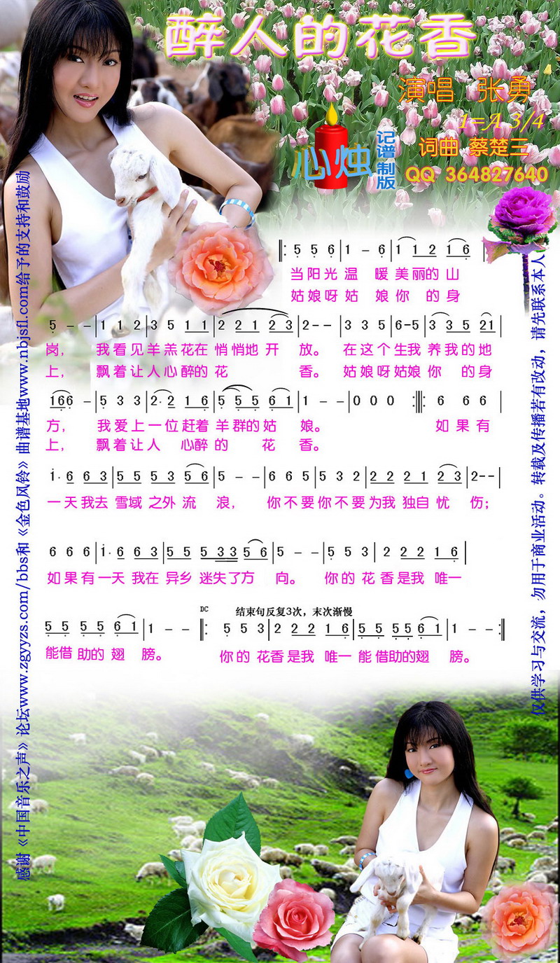 醉人的花香简谱-张勇演唱-心烛001曲谱1