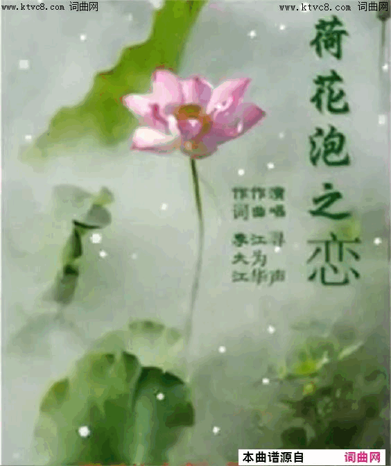 荷花泡之恋寻声而来唱简谱-寻声而来演唱-李大江/江为华词曲1