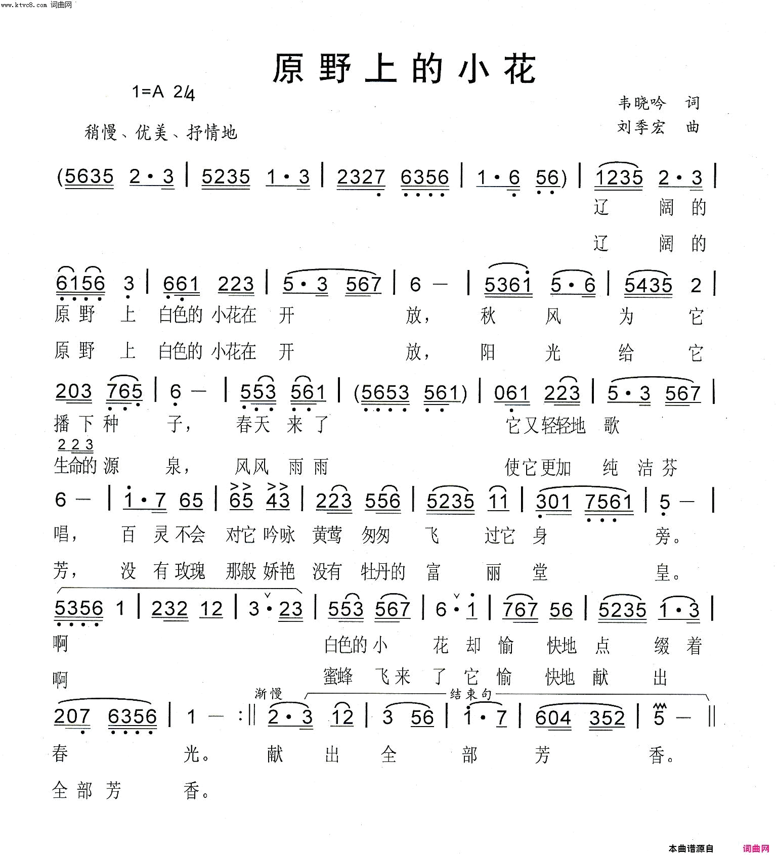 原野上的小花简谱1