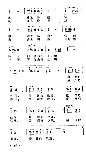 代露的玫瑰简谱1