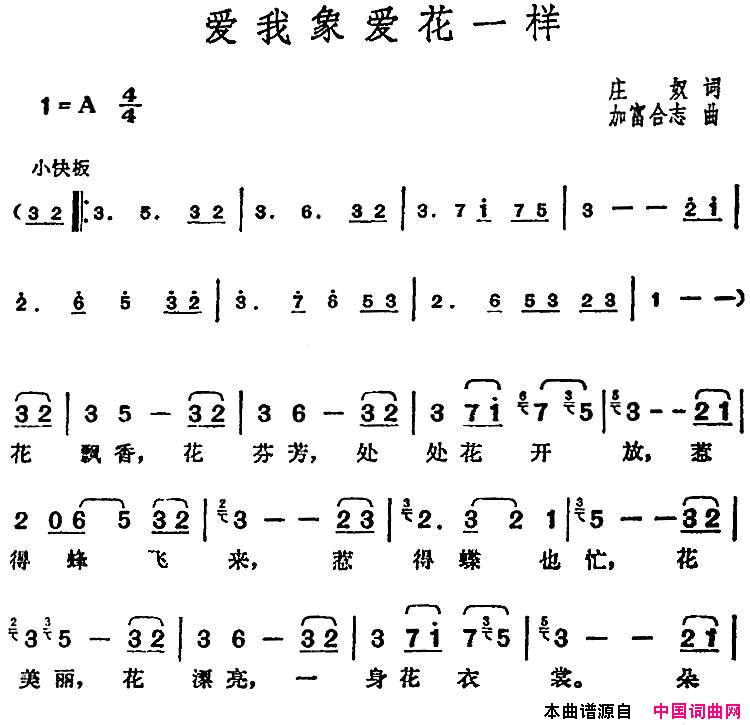 邓丽君演唱金曲：爱我象爱花一样简谱1