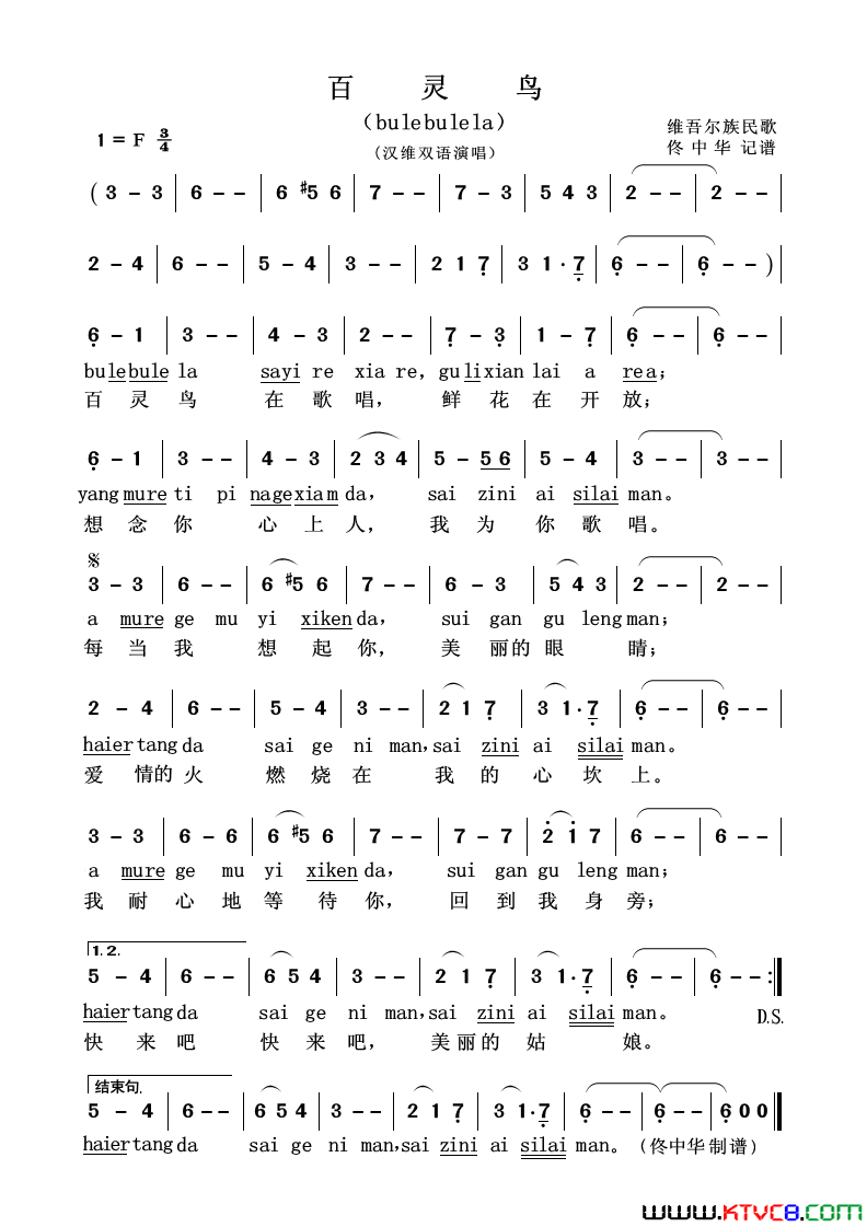 百灵鸟汉维双语演唱简谱1