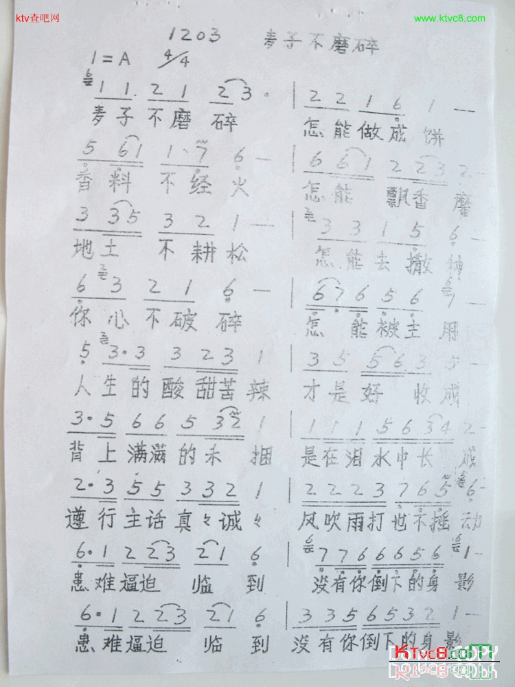 麦子不磨碎简谱-小敏演唱1