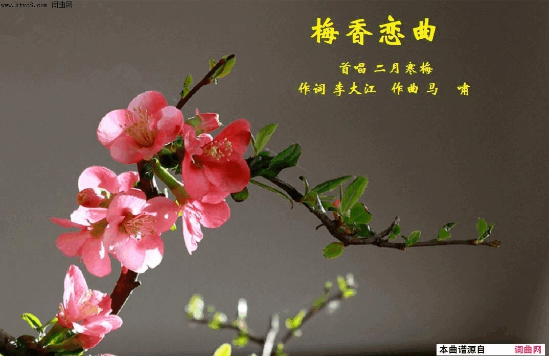 梅香恋曲简谱-二月寒梅演唱-李大江/马啸词曲1