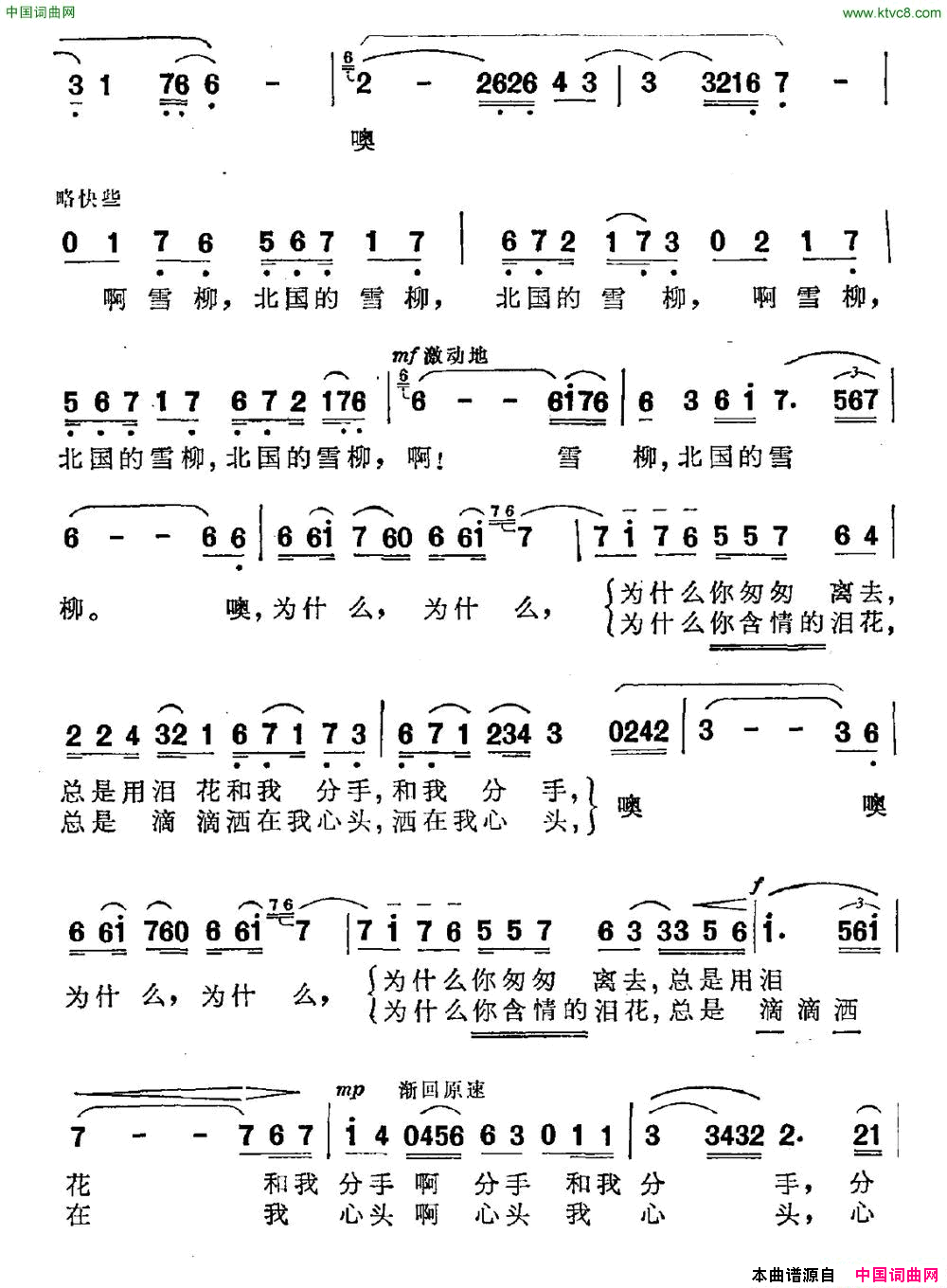 雪柳简谱1