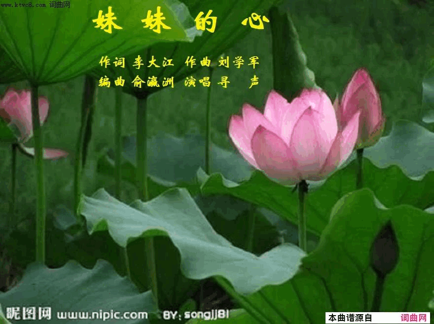 妹妹的心简谱-寻声而来演唱-李大江/刘学军词曲1