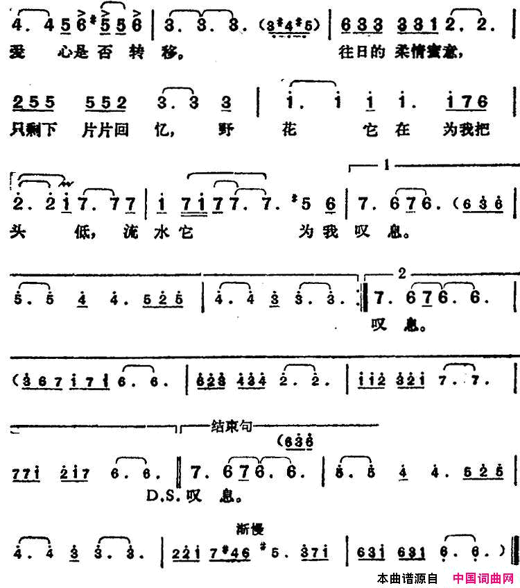 邓丽君演唱金曲：是否简谱-邓丽君演唱-林煌坤/猪俣公章词曲1