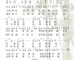思乡竹简谱