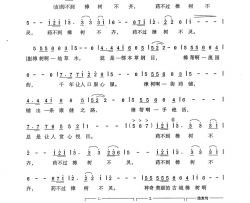 中国药都之歌简谱-刘仁刚演唱-朱墨/熊纬词曲