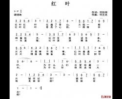 红叶简谱-何铃领词 何丕光曲
