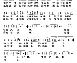 金都恋歌简谱