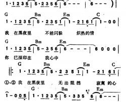 我在黑夜里简谱-带和弦童安格-