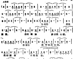 不再流浪苏芮演唱金曲简谱-苏芮演唱-徐丽玲/杨承佑词曲