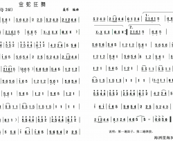 金蛇狂舞简谱