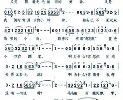 淋湿了我的心简谱