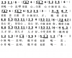 青菜心白菜心云南彝族民歌简谱