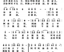 阿哥和阿妹二重唱简谱