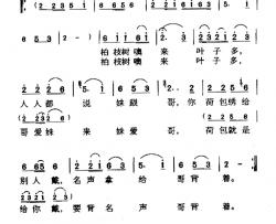 柏枝树来叶子多简谱-云南民歌