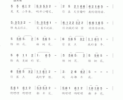 泪流太平洋简谱-张津涤演唱-周兵/陈伟词曲