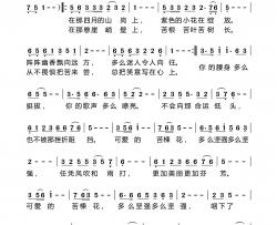 可爱的苦楝花简谱-许志刚演唱-李文远/王永逸词曲