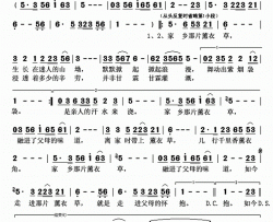家乡那片薰衣草简谱-向初双演唱-张一涵/良木词曲
