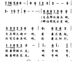 大潮口简谱-王德余词/王德余曲