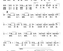 红红的梦儿随风飘简谱-赵铁民词/寇勇曲丁艳-